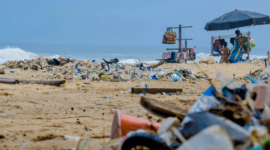 Gibran lauds Bali's quick action on beach waste
