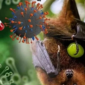 Waspada Virus Nipah