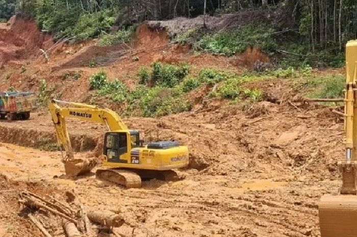 Longsor Trans Papua Jayapura–Wamena Jebak 103 Kendaraan, 57 Alat Berat Dikerahkan