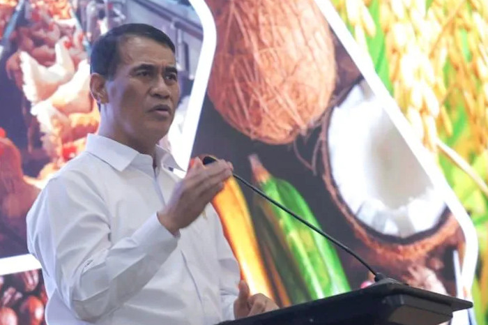 Mentan Ancam Alihkan Anggaran Daerah yang Lambat Jalankan Cetak Sawah