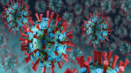 Kasus Flu dan Virus Musiman Meningkat di Berbagai Negara Selama Pekan Ini