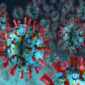 Kasus Flu dan Virus Musiman Meningkat di Berbagai Negara Selama Pekan Ini