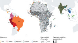 WHO Pantau Potensi Wabah Penyakit Lokal di Kawasan Afrika dan Asia