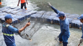 Jaktim Siapkan Sidak untuk Cegah Ikan Sapu-Sapu Masuk Rantai Konsumsi